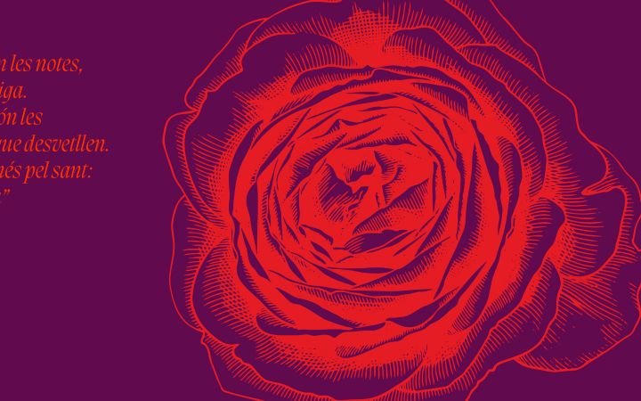 CARRUSEL WEB FACULTAT MEDICINA