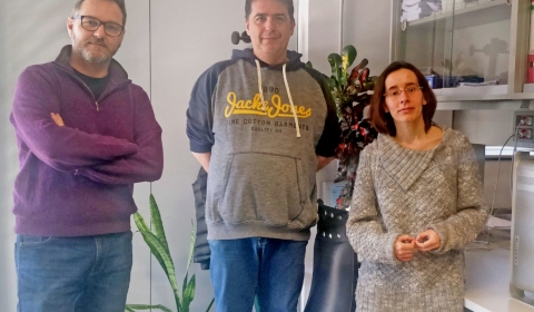 app-IlerCovid.jpg_513066471