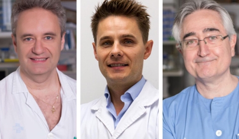 Lacasta-Gudelis-Trujillano