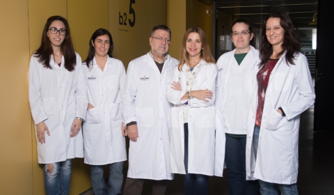 senyalitzacio_llevadures_red