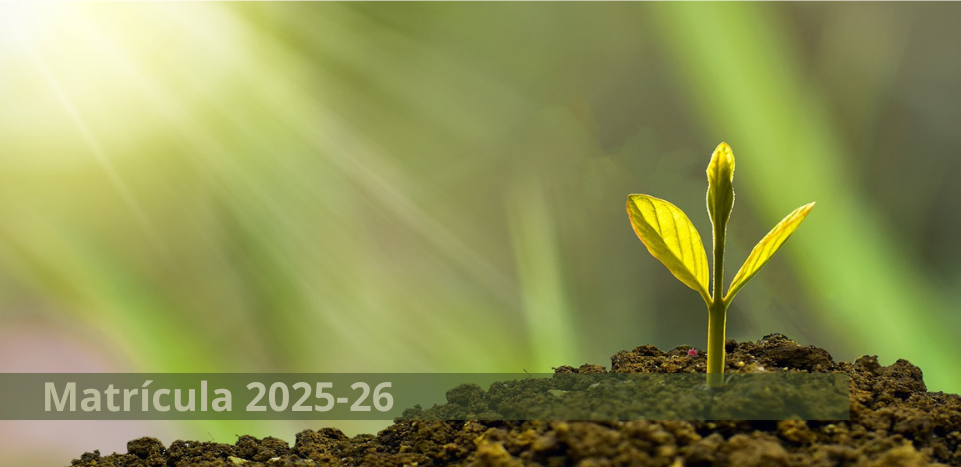 Información de Matrícula Grados y Másteres Curso 2024-25_CAT_2