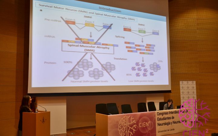 CSC_0595
