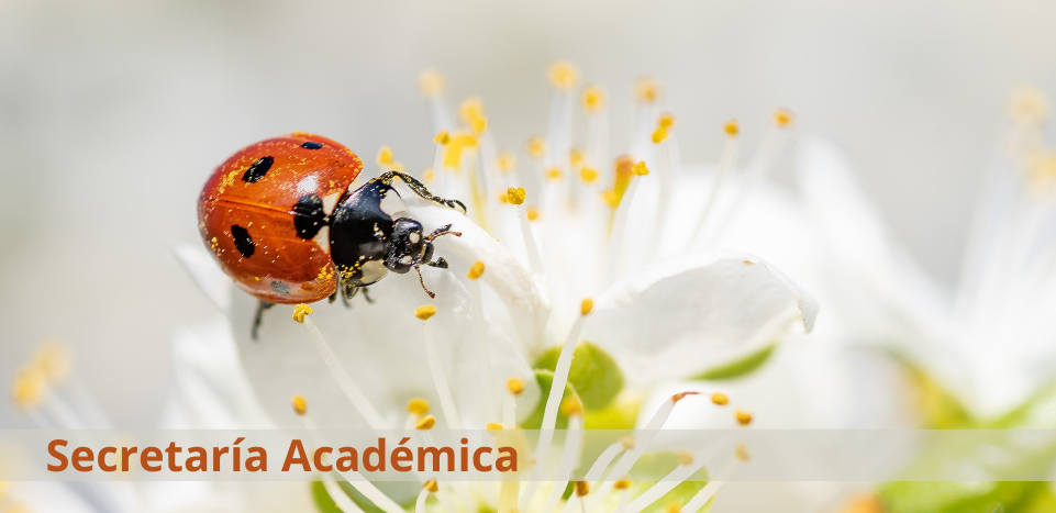 CAST Portada secretaría primavera 2025-26