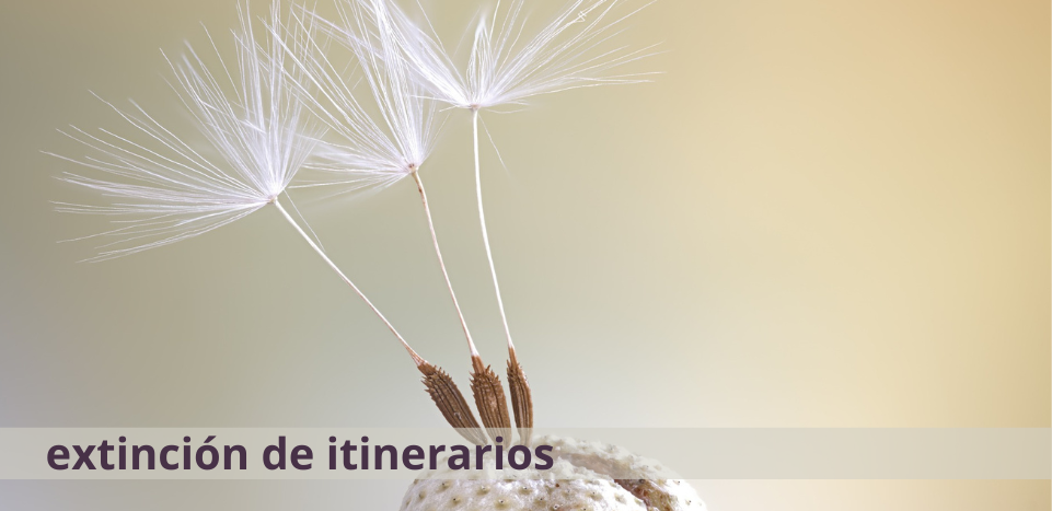 Imagen extinción itinerarios WOOLKEE CAST